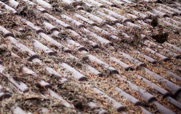 Matlock Bridge roof cleaning companies